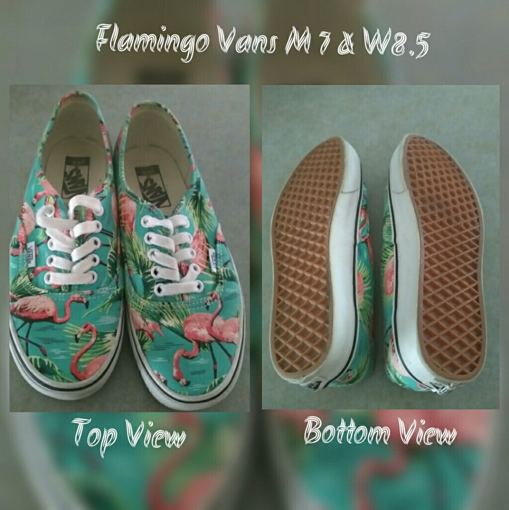 Flamingo Vans